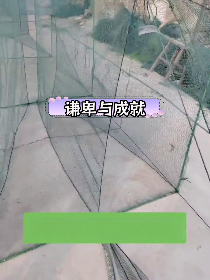 渔民捕鱼技巧实拍:迷魂阵制作现场