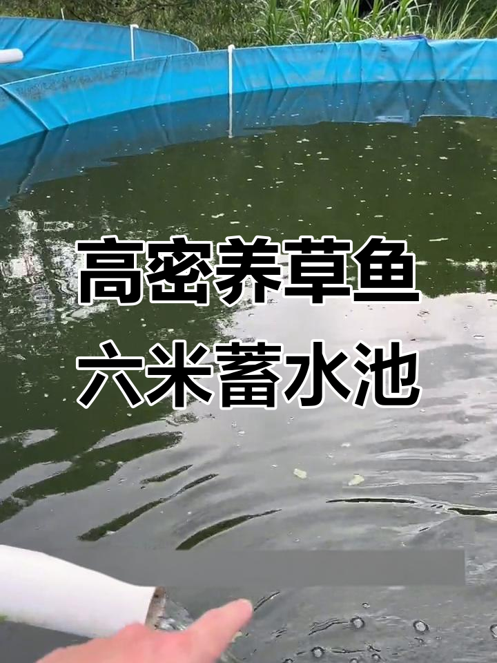 镀锌板帆布鱼池:高密度养殖与蒸汽围护的创新设计
