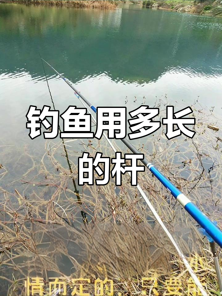 野钓竿长选择指南:4.5米至5.4米最合适