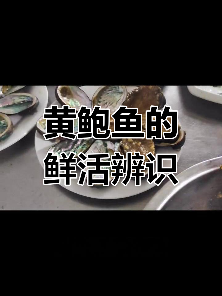 新鲜黄鲍鱼如何辨别?看贝壳和肉色就知道