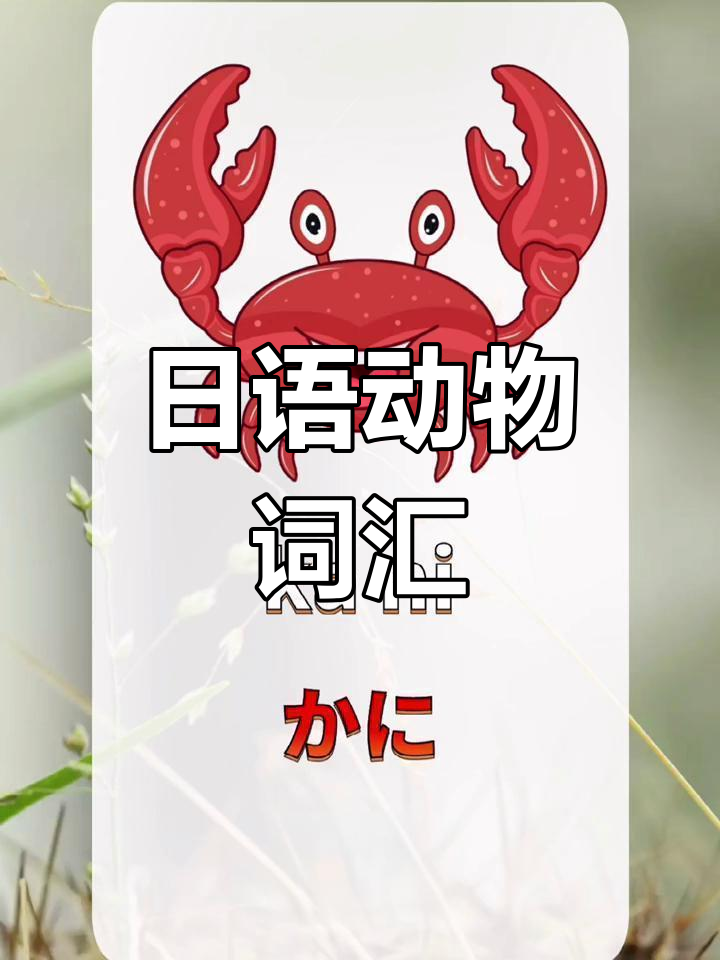 学日语轻松掌握,动物词汇大揭秘!