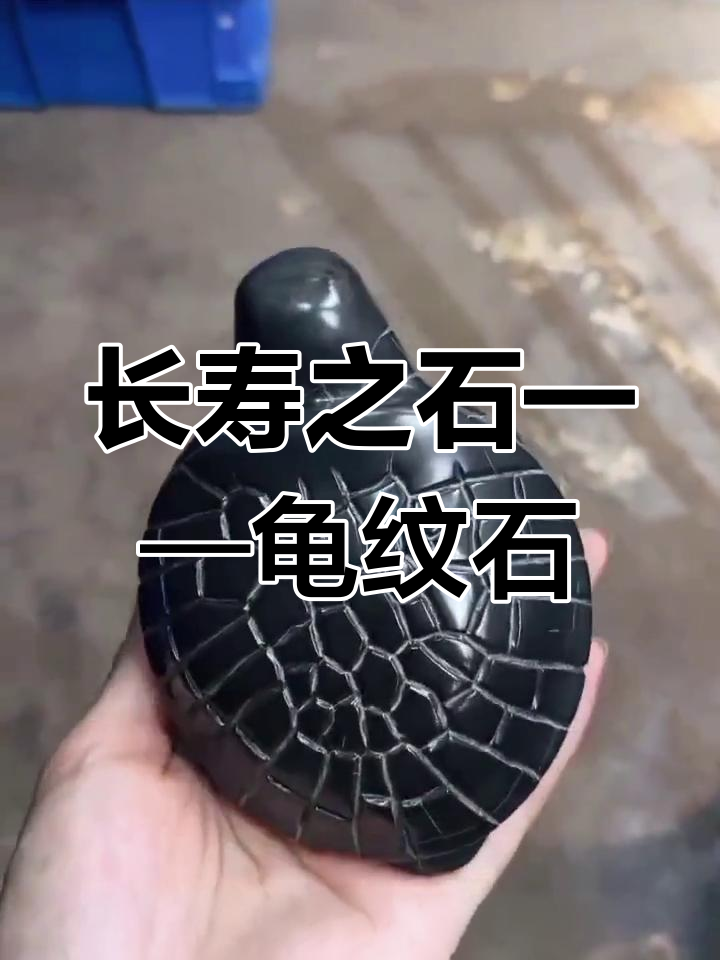 龟纹石:长寿与神秘的完美结合