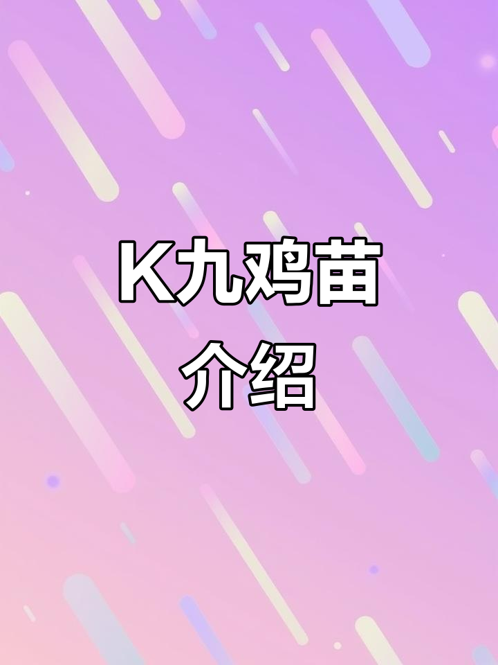 K九鸡苗:养殖新选择,助力乡村振兴