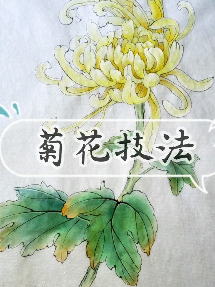 工笔画菊花染色技法(一),详细教程