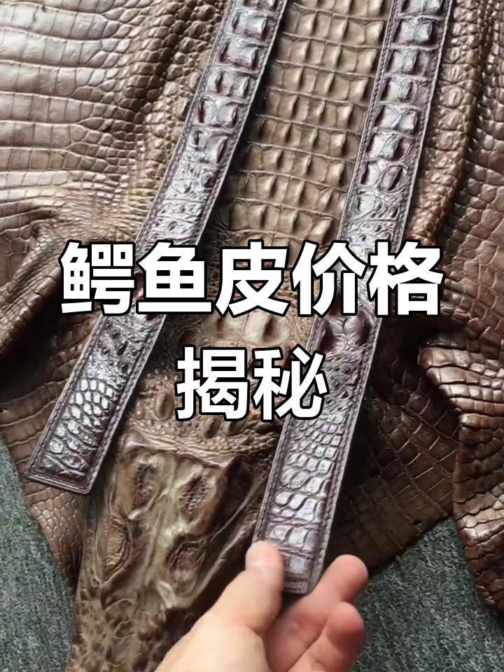 鳄鱼皮料采购成本分析