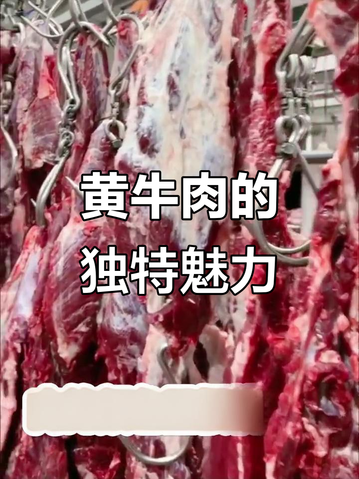 宁夏黄牛肉,肉质鲜嫩、口感丰富,烹饪多样,令人回味无穷