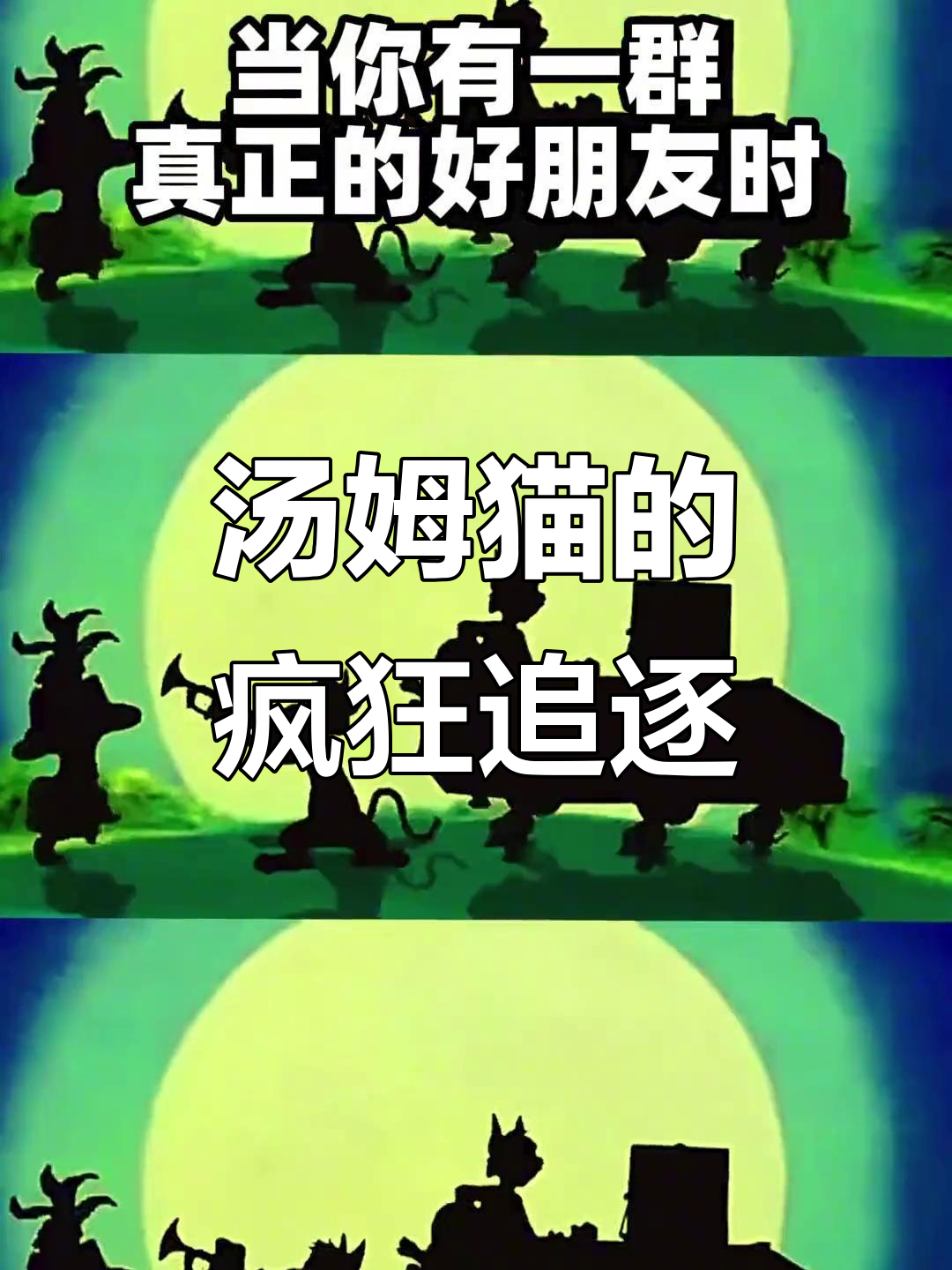 汤姆猫为了抓老鼠竟然牺牲了自己,笑到肚子疼!