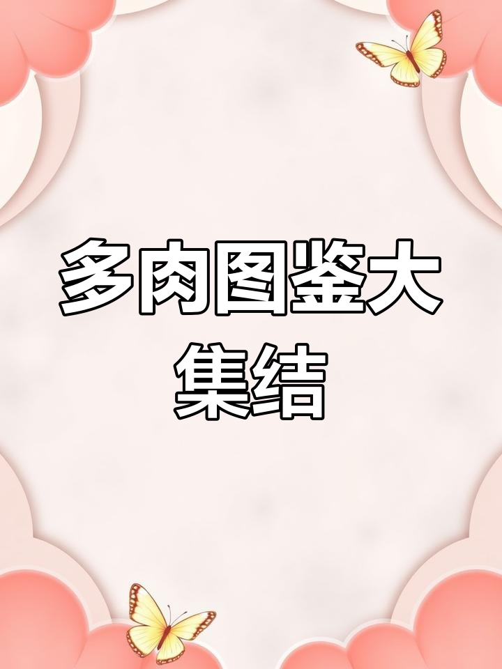 收集所有多肉,粉嫩小熊超萌!