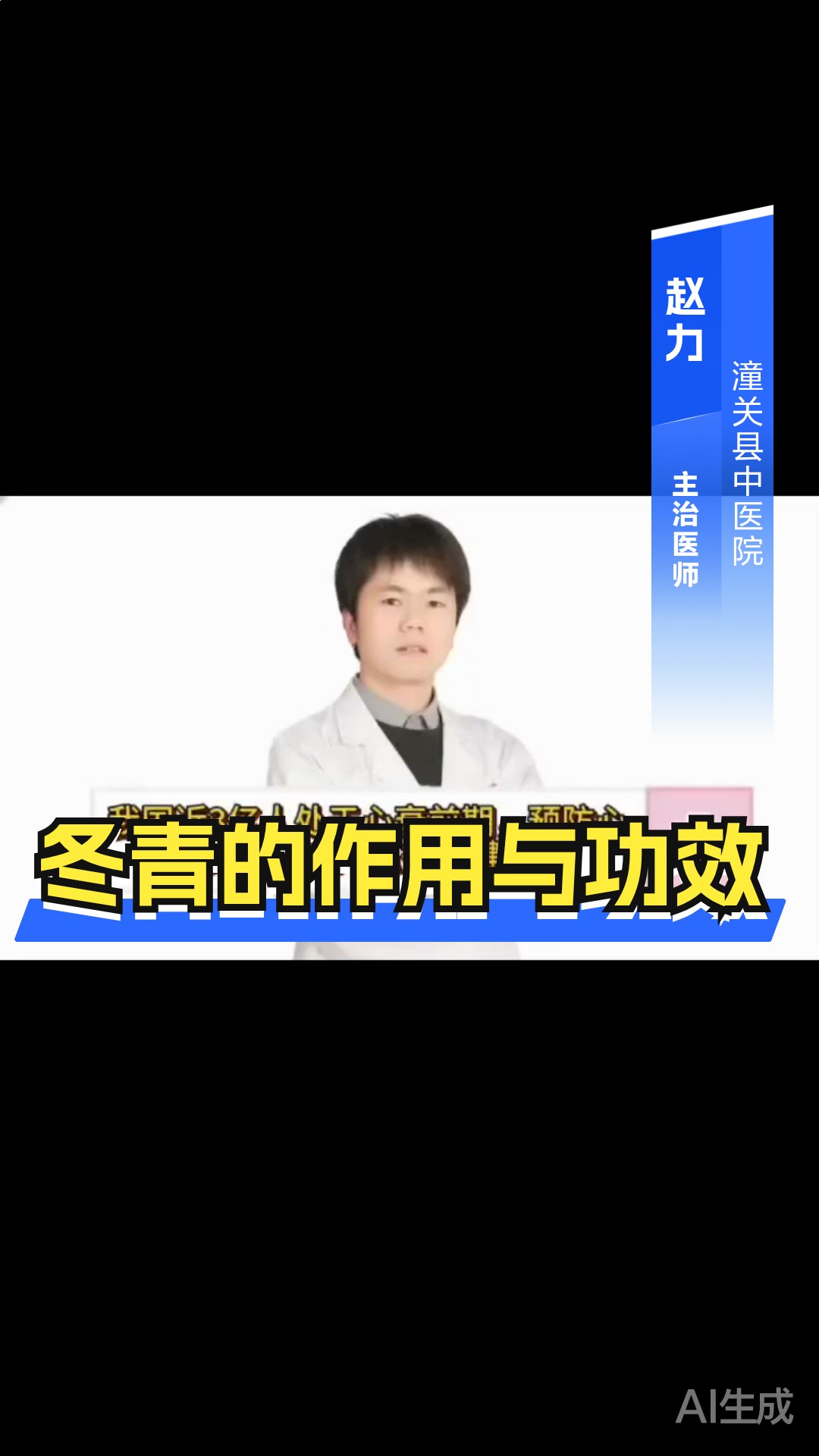 冬青的作用与功效