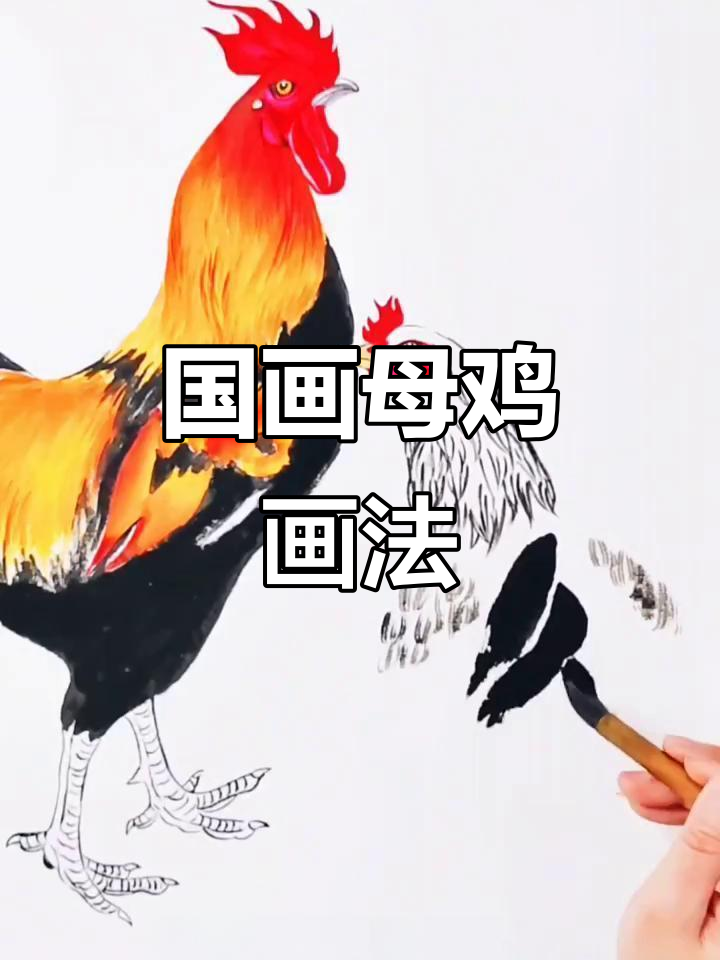 母鸡国画绘制技巧，轻松学会细节处理
