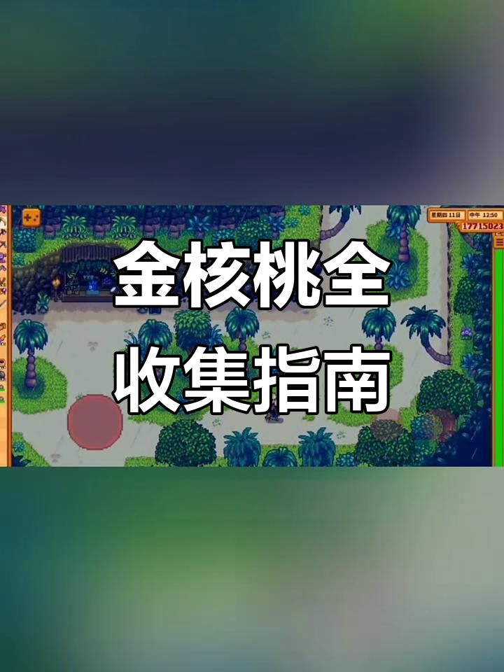 星露谷姜岛金核桃全攻略,130个隐藏地点大揭秘