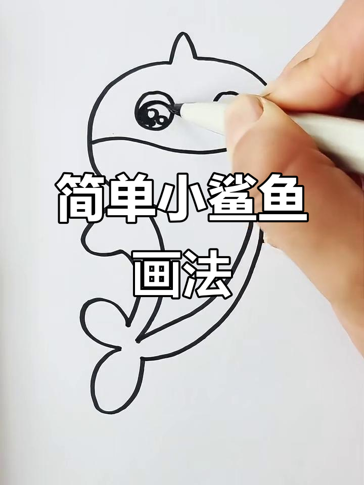小鲨鱼简笔画，轻松学会！