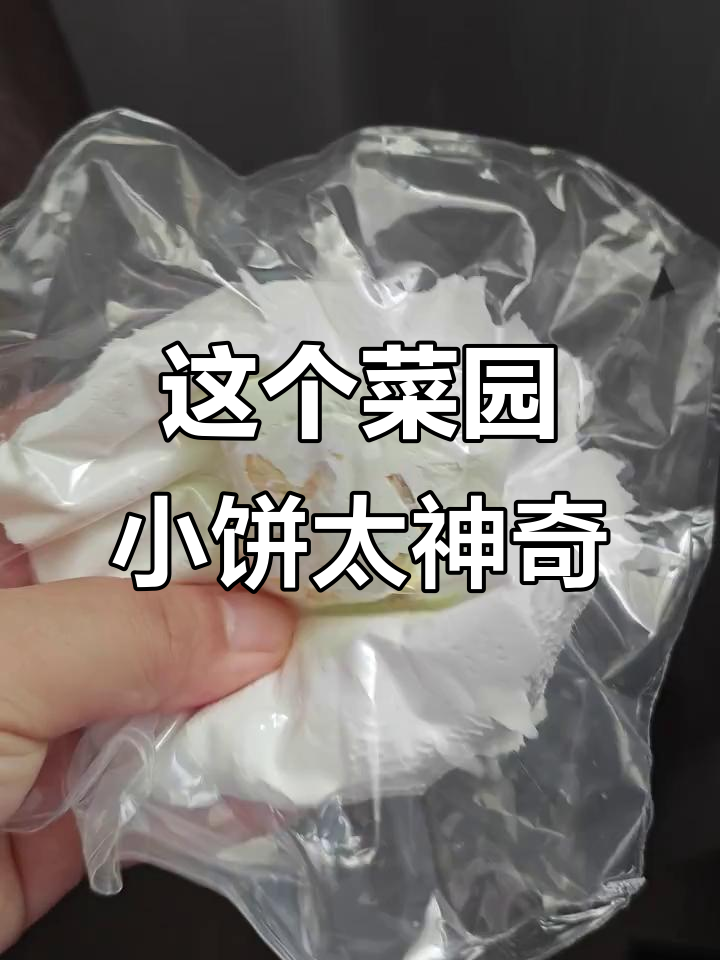 菜园小饼的独特魅力，谁能懂？