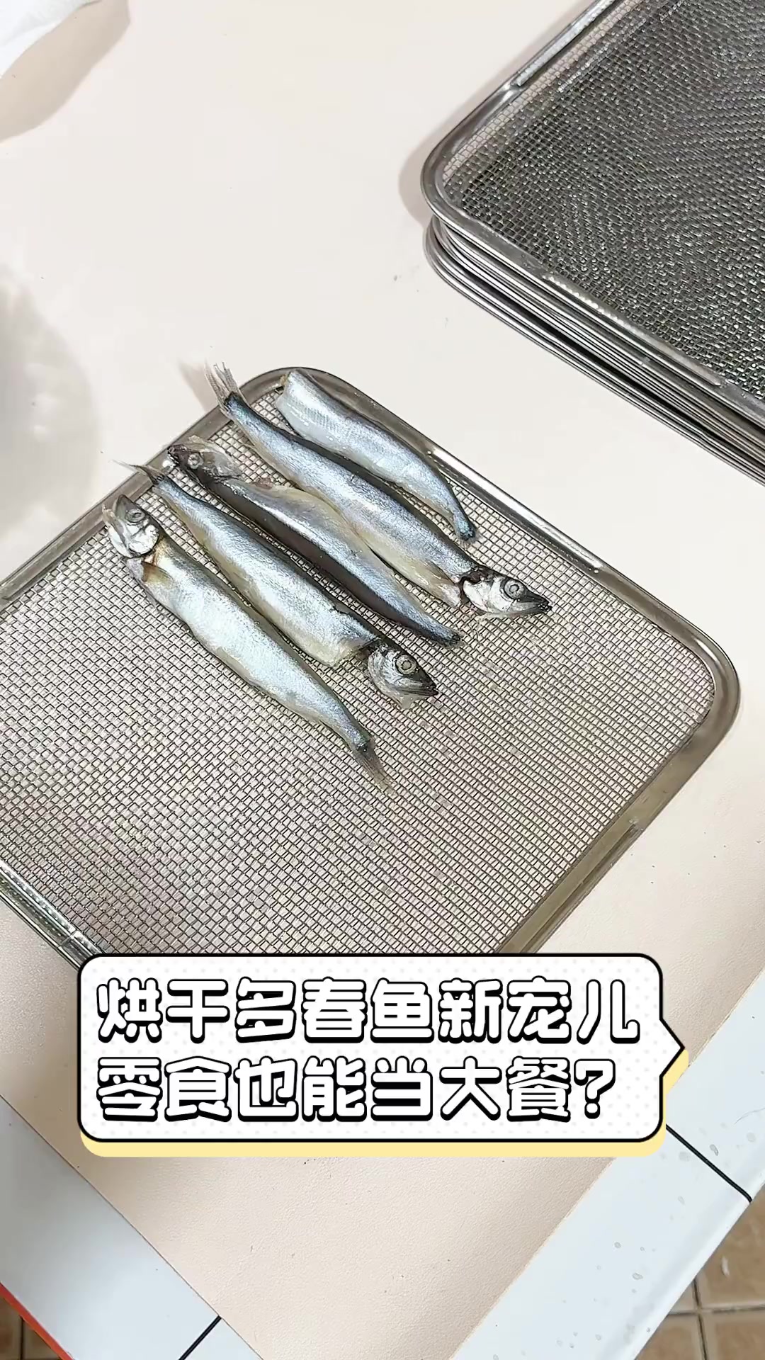 烘干多春鱼新宠儿,零食也能当大餐?