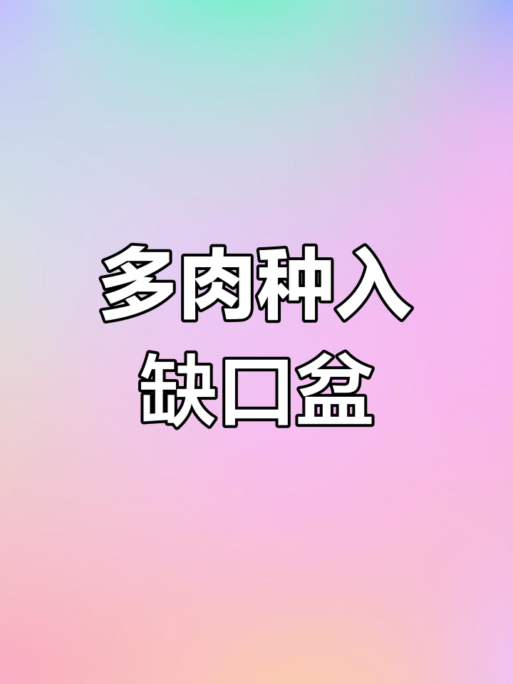 缺口盆种植多肉,轻松掌握技巧