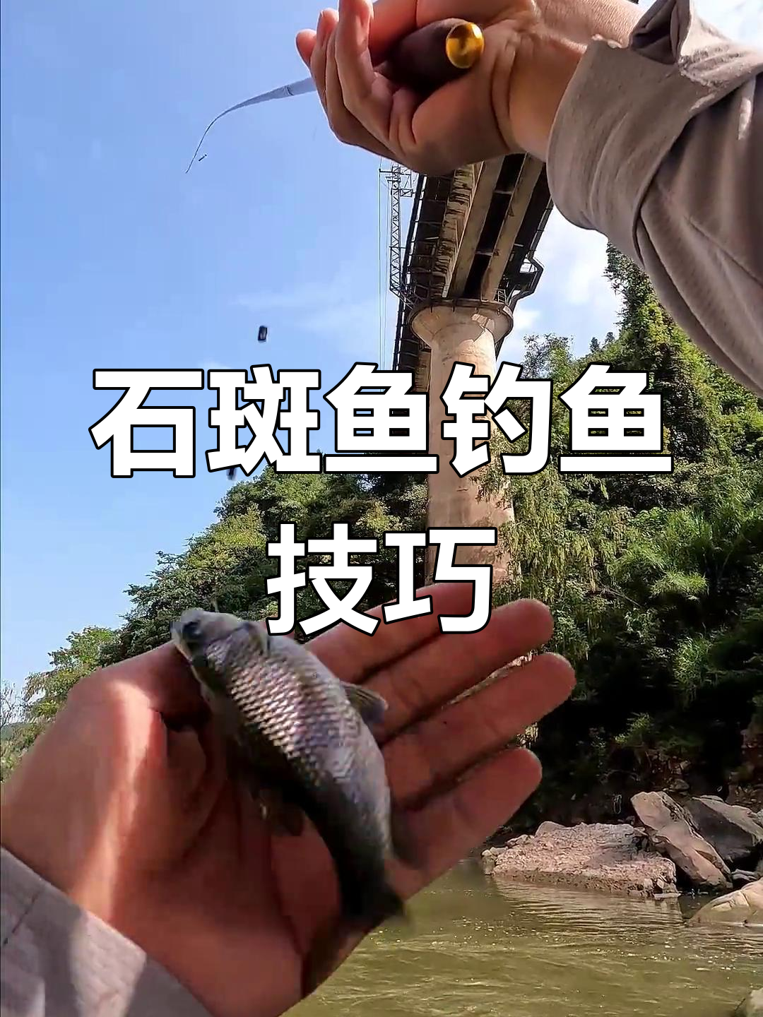 溪流钓石斑鱼技巧:如何避免空军,打窝位置和线组调整全揭秘