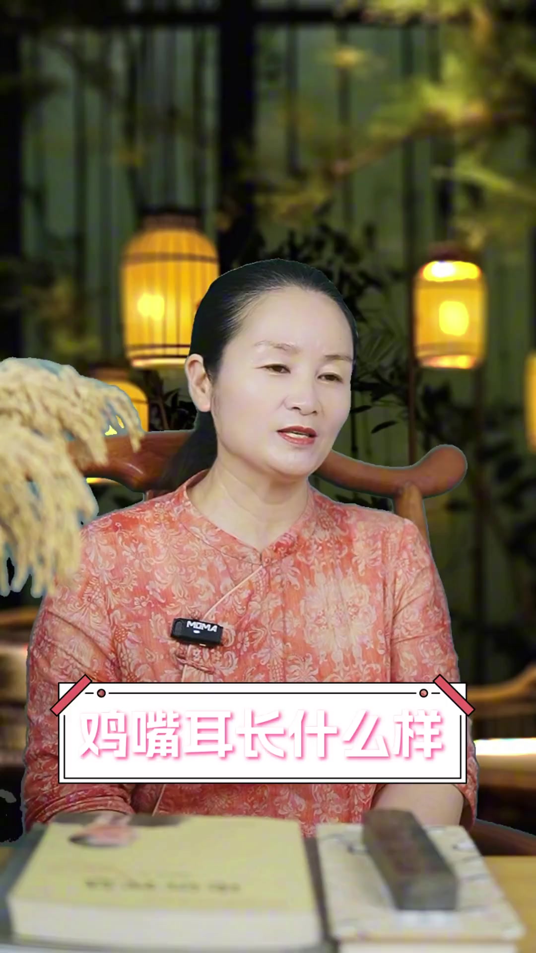 鸡嘴耳长什么样