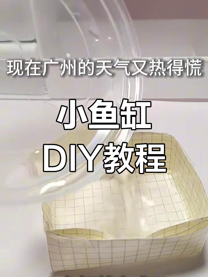 课间手工折小鱼缸,迷你可爱又有趣