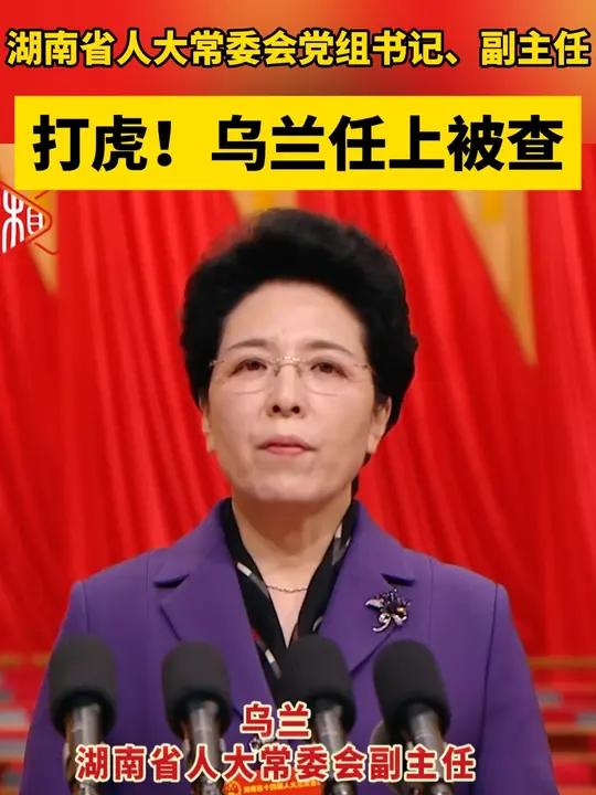 打虎!乌兰任上被查 打虎被查任上被查 反腐倡廉
