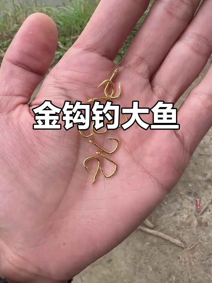 黄金鱼钩真能换一周伙食费？兄弟钓鱼挑战，结果惊呆了