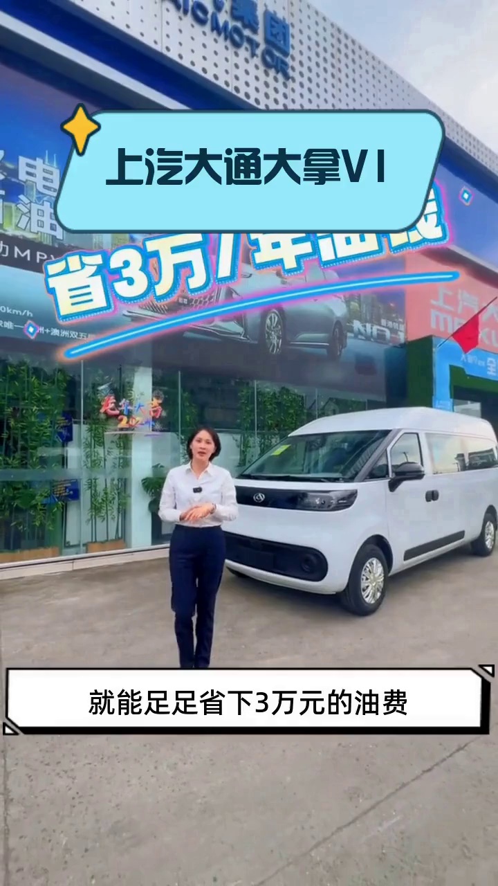 上汽大通大拿V1