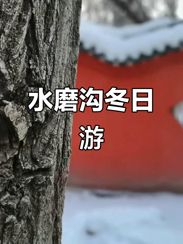 冬季水磨沟风景区：雪地、绿头鸭与鱼儿共舞