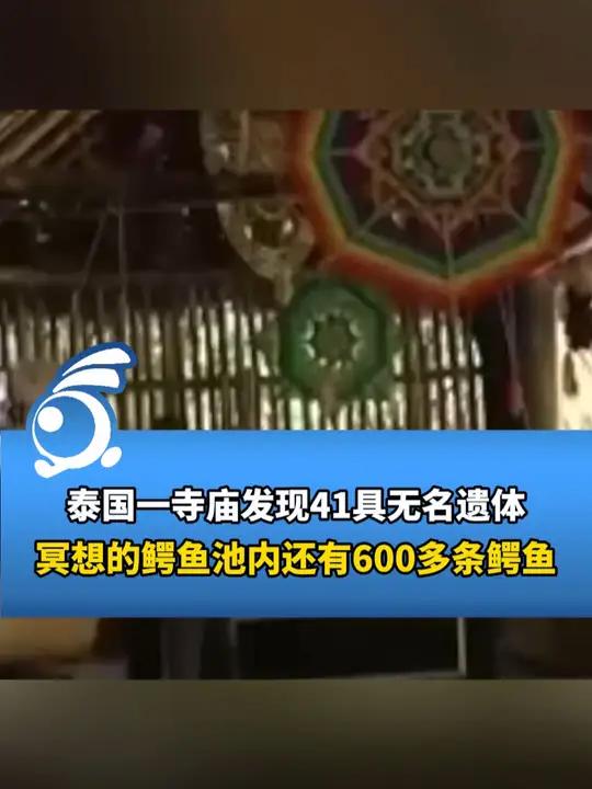泰国一寺庙发现41具无名遗体,冥想的鳄鱼池内有600多条鳄鱼