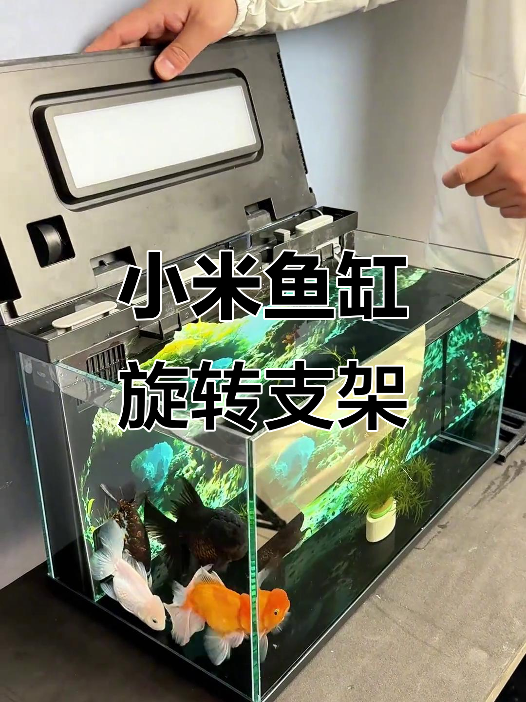 小米鱼缸旋转支架安装全攻略,轻松提升过滤效果