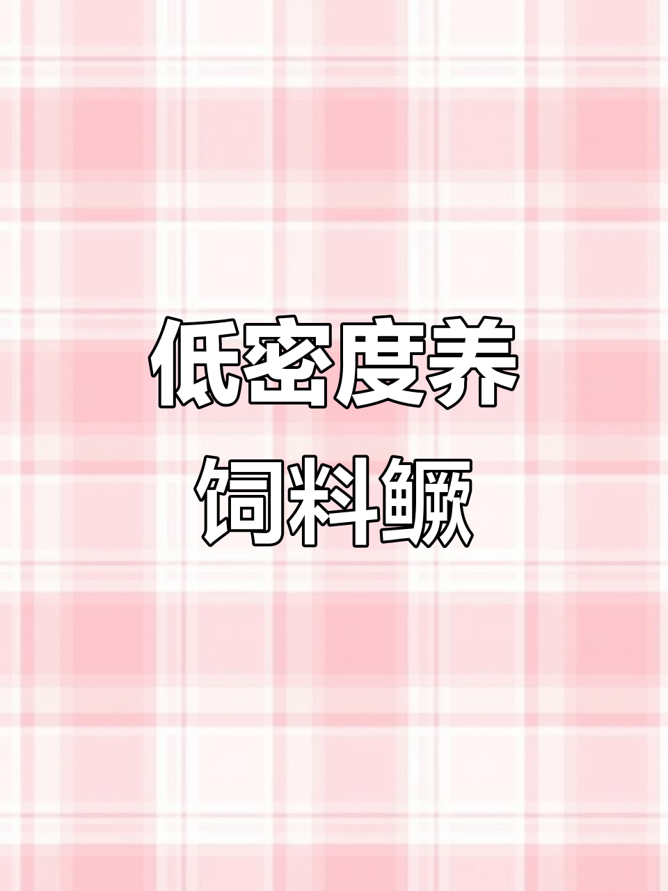 饲料桂鱼养殖入门,低密度网箱模式详解