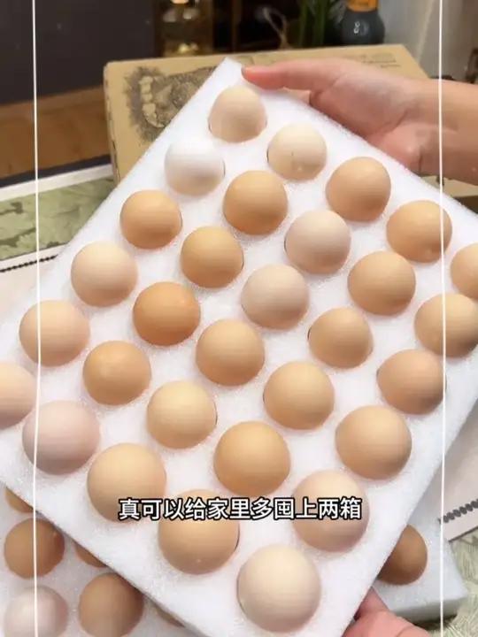 农家散养土鸡蛋，到手60枚，价格超划算！鸡蛋农家土鸡蛋土鸡蛋x