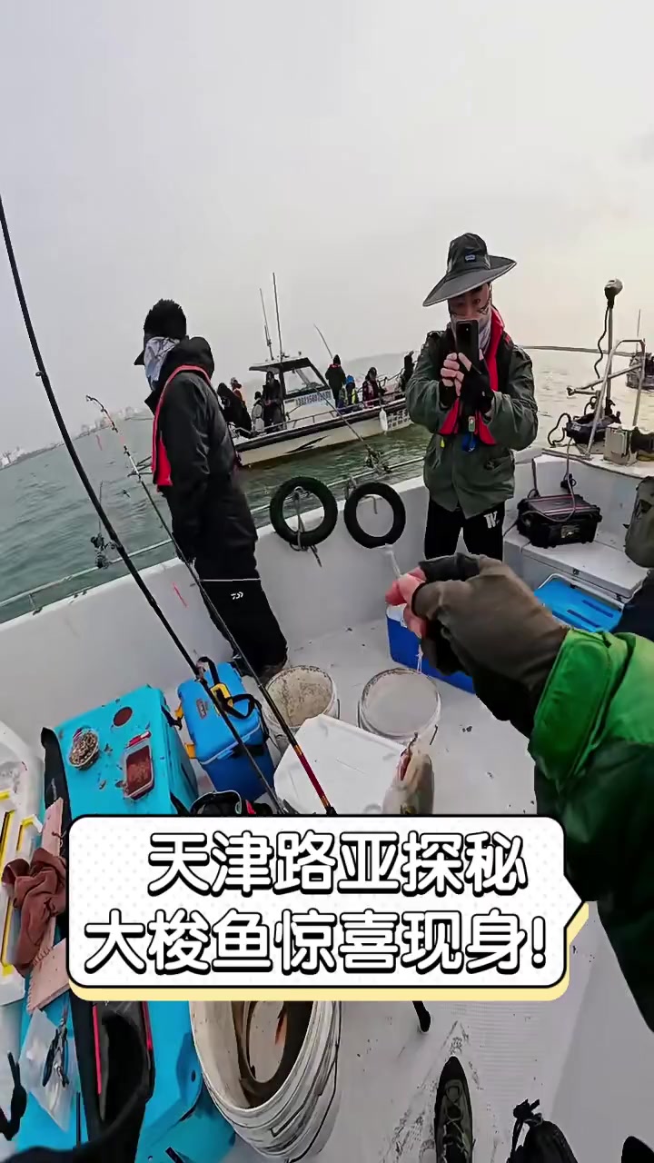 天津路亚探秘,大梭鱼惊喜现身!