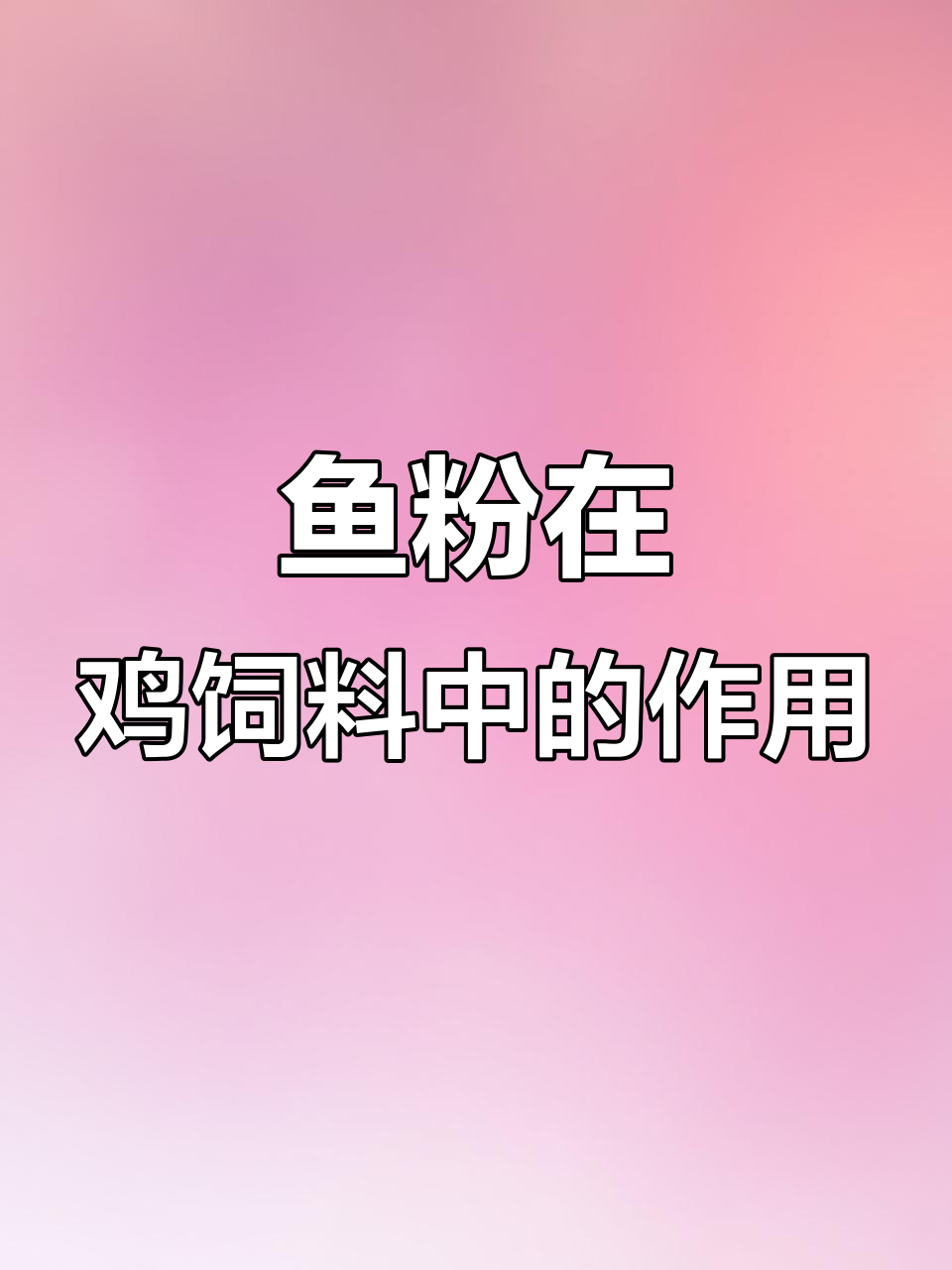 鱼粉如何助力鸡饲料提升生长与健康