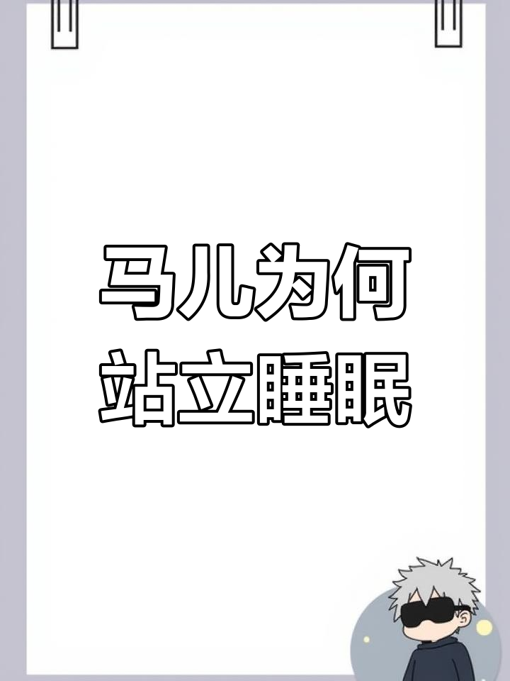 小红马站着睡觉,竟然是因为这个原因!