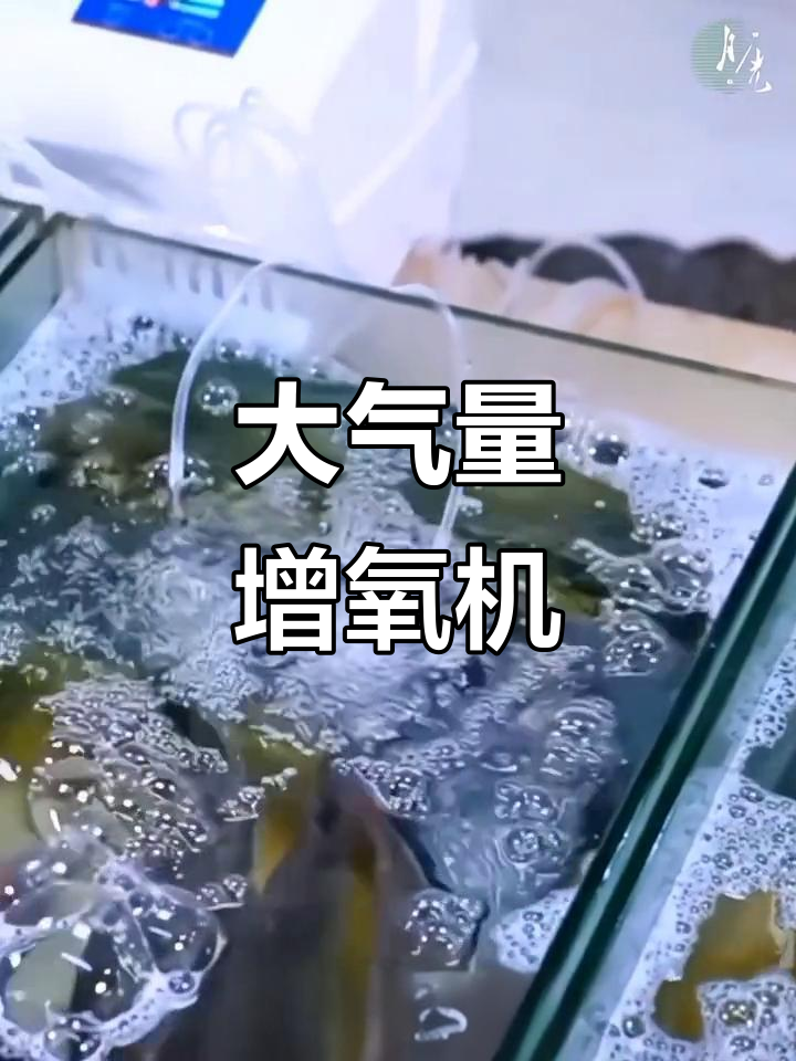 交流/直流通用,大功率增氧机,钓鱼养鱼必备