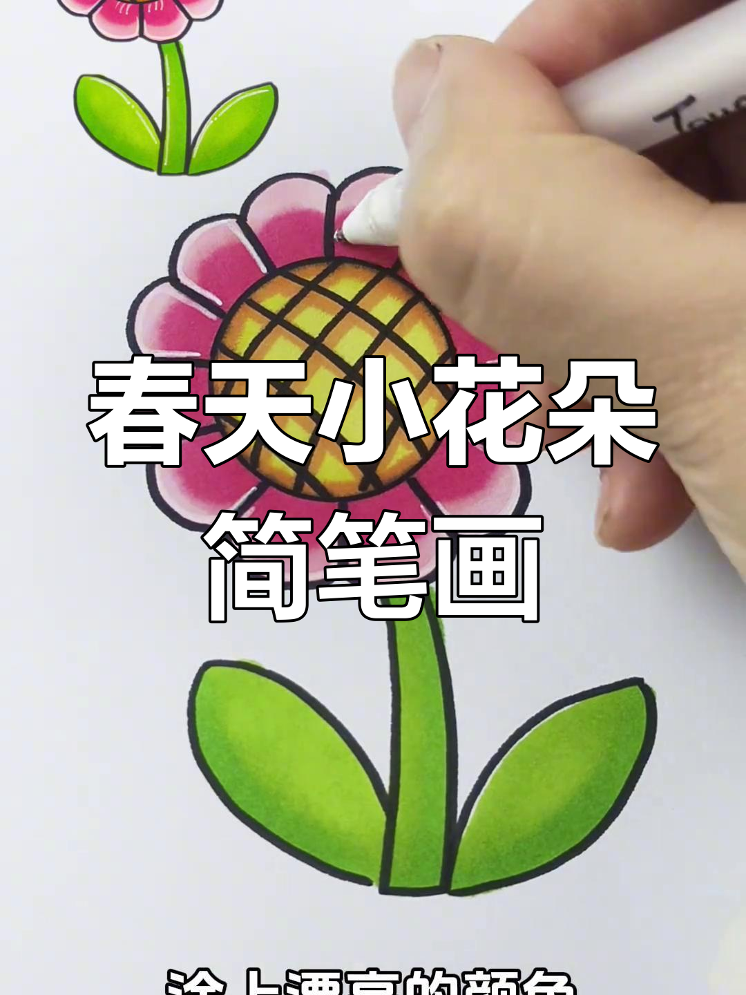 简单花朵画法,画出春天的美丽小花