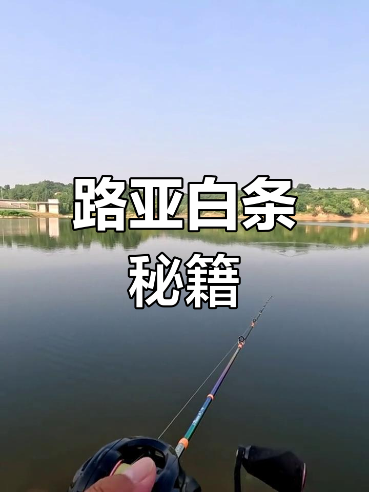 快速掌握路亚技巧,轻松控饵,记得收藏!