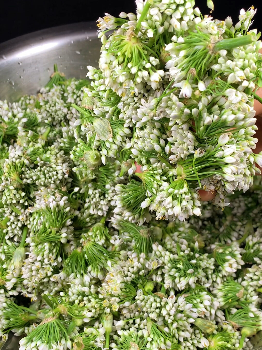 韭菜花新吃法