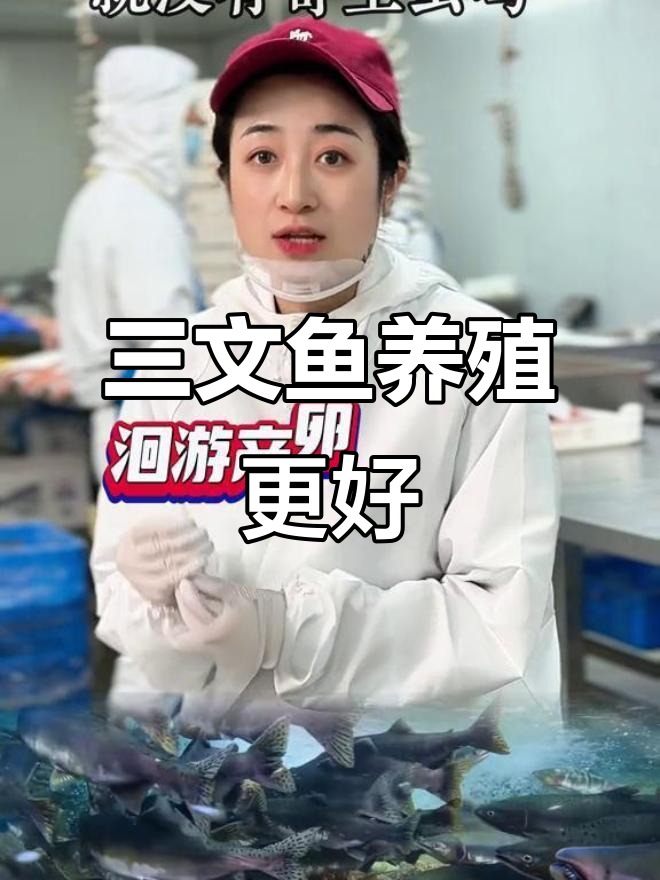 养殖三文鱼比野生更安全,寄生虫风险低
