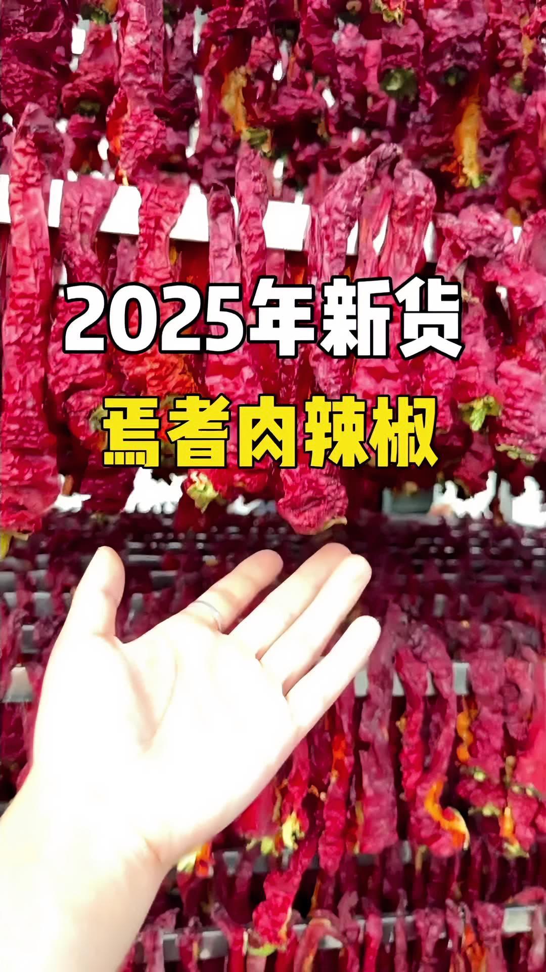 新疆焉耆肉辣椒2025年新货 来自新疆本地焉耆肉辣椒新货到了,2025年新货,颜色红亮,香