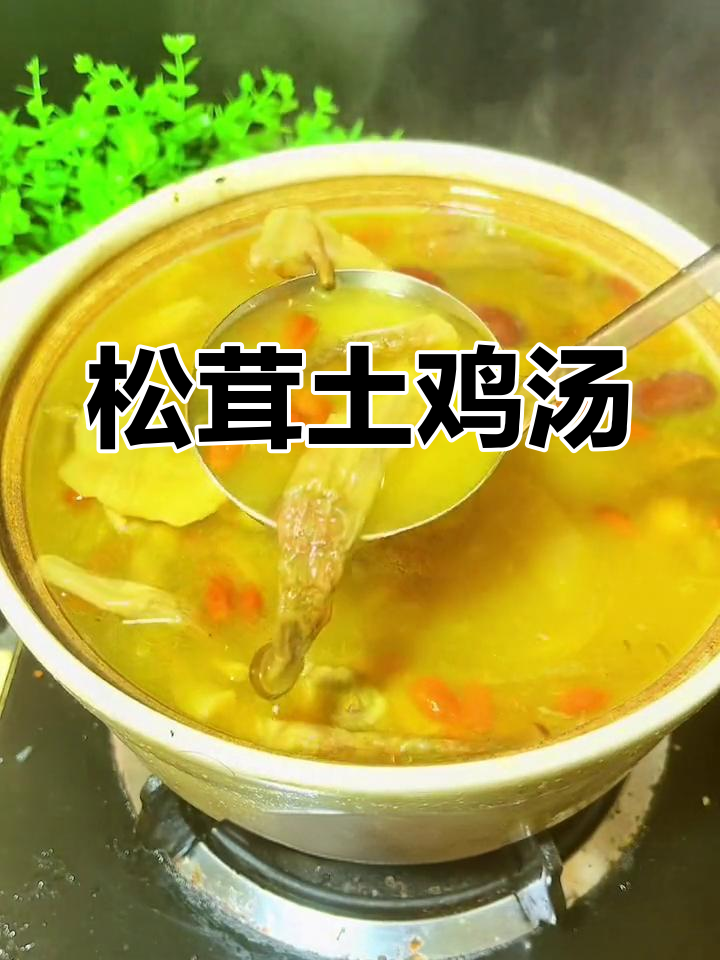 松茸炖鸡汤,鲜美滋补,老少皆宜