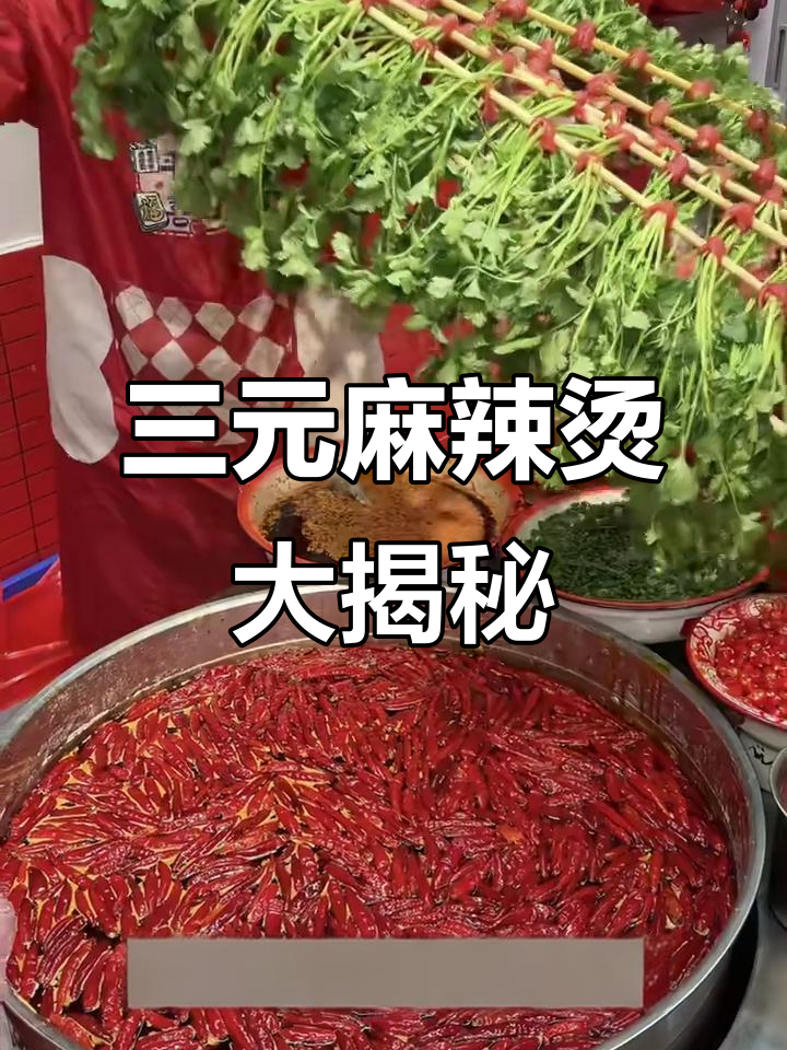 父母以为的麻辣烫VS我吃到的大石坝美味,三块钱就能搞定!