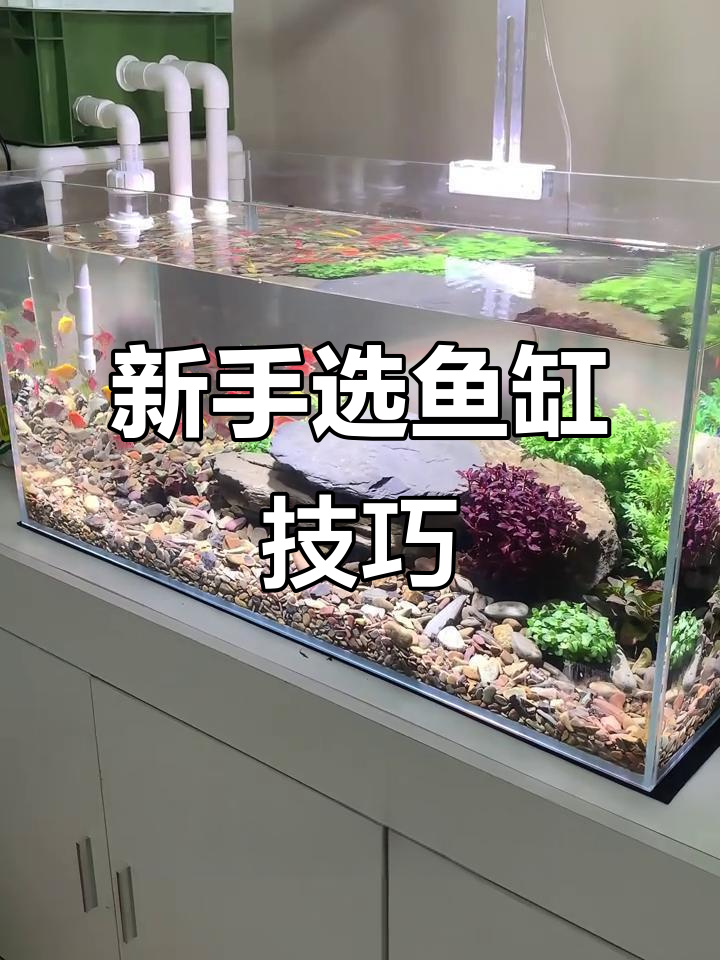 买鱼缸避坑指南,新手必看!