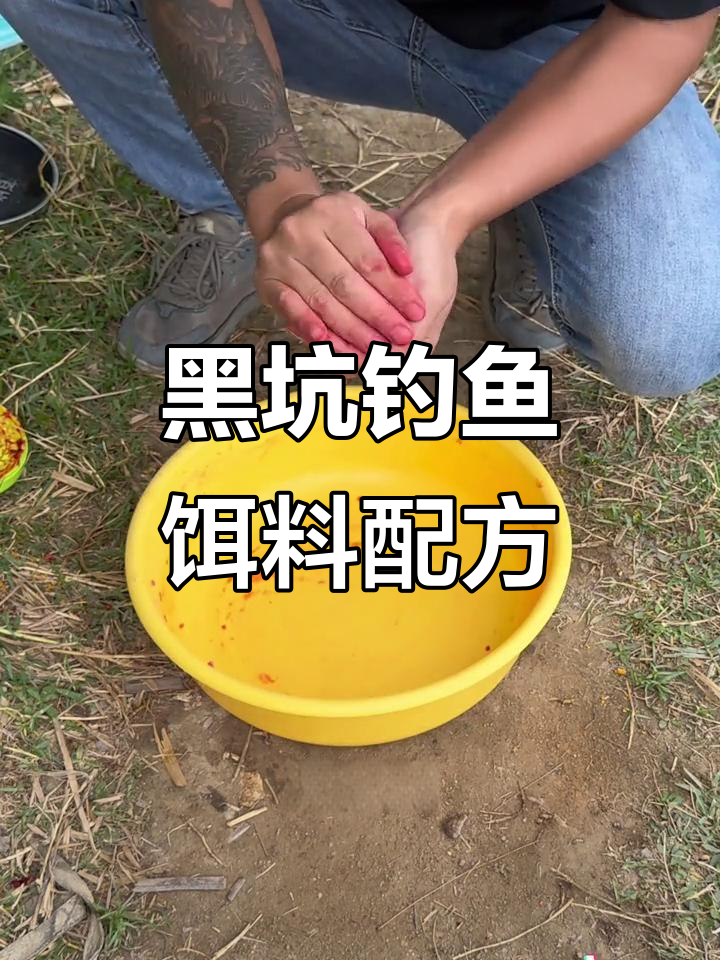 黑坑鲫鱼新钓法揭秘，虾泥南瓜酥饵料配方大公开