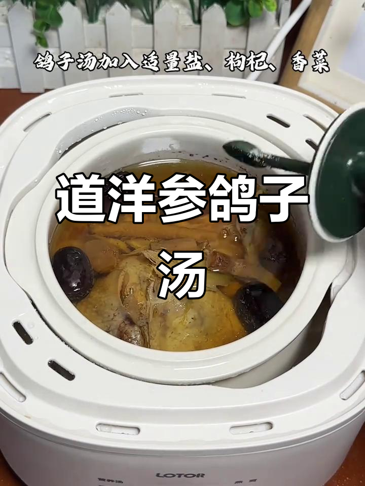 营养鲜美的道洋参鸽子汤,简单炖法让你轻松享受美味
