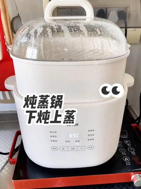 自用好几个月的 炖锅 边蒸边炖,又实用又方便!蒸煮一体锅推荐 厨房小家电 电炖锅 隔水炖