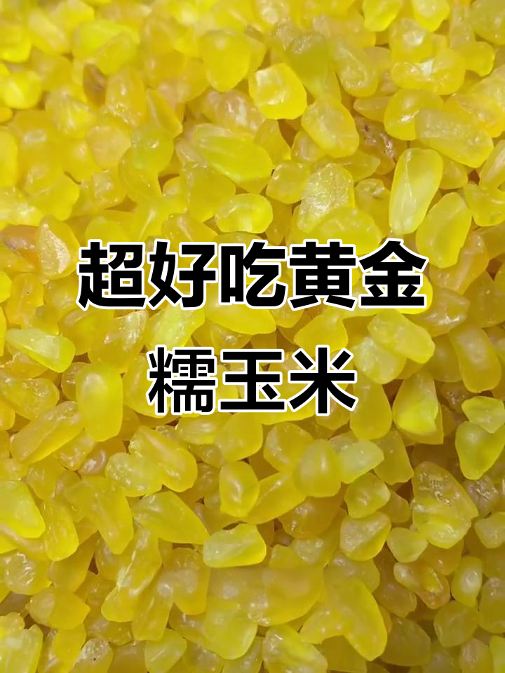 黄金糯玉米碴,秋天鲜嫩美味,煮粥做伴侣超赞