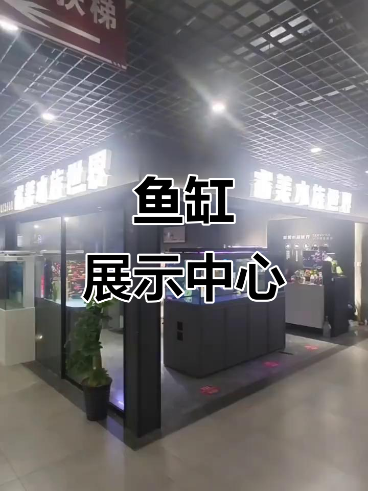 苏州鱼缸展厅,多种款式任选,支持个性化定制