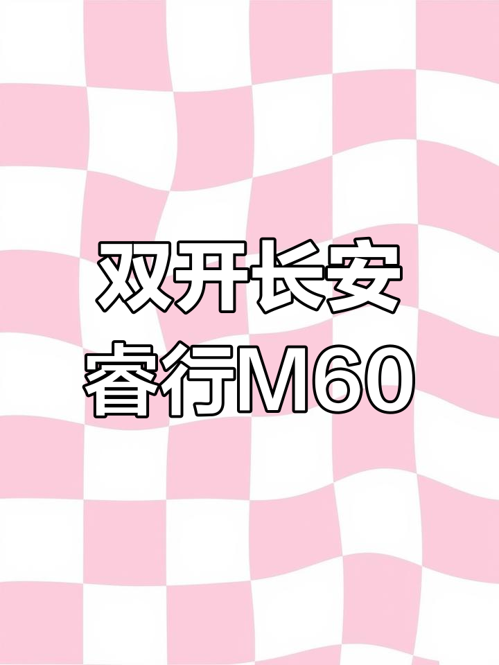 长安睿行M60双开门面包车,拉货神器!