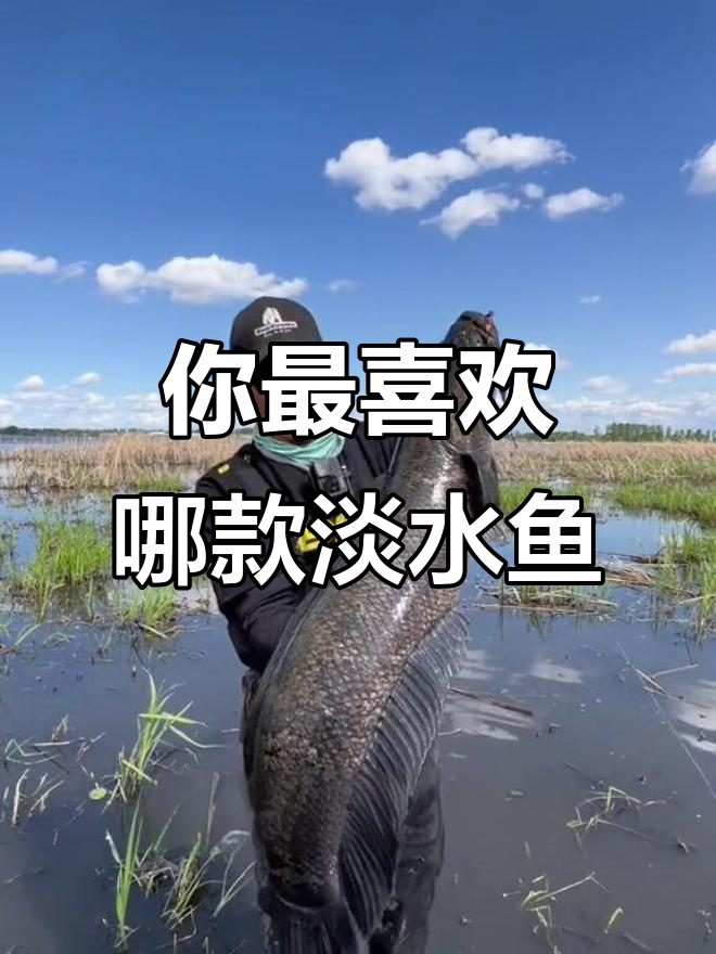12种常见淡水鱼,哪种最值得品尝?