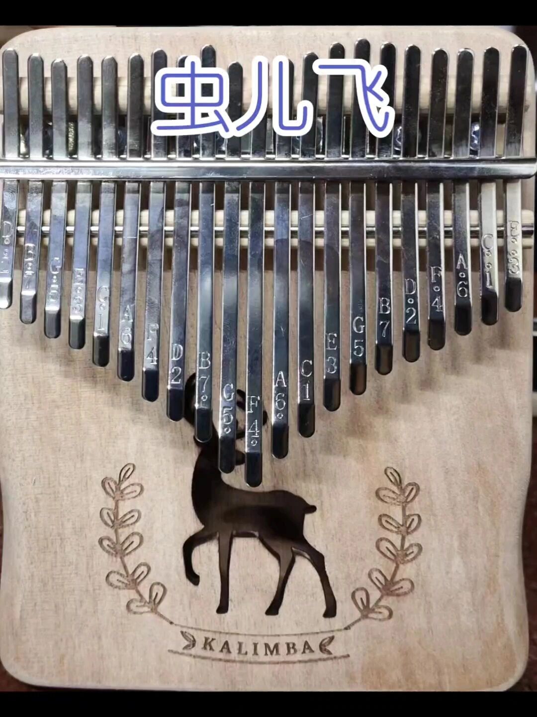 简单易学的零基础《虫儿飞》21音拇指琴